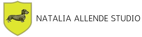 Natalia Allende Studio