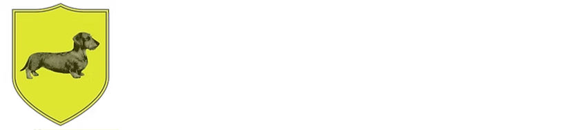 Natalia Allende Studio