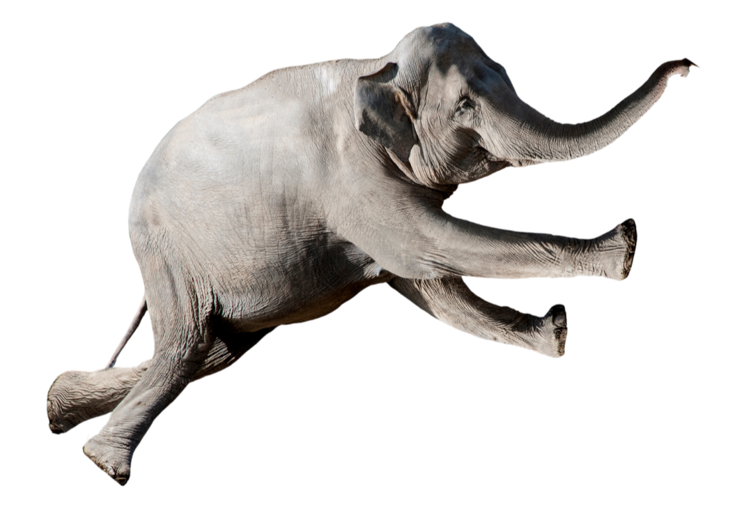 Give That Elephant Some More Room