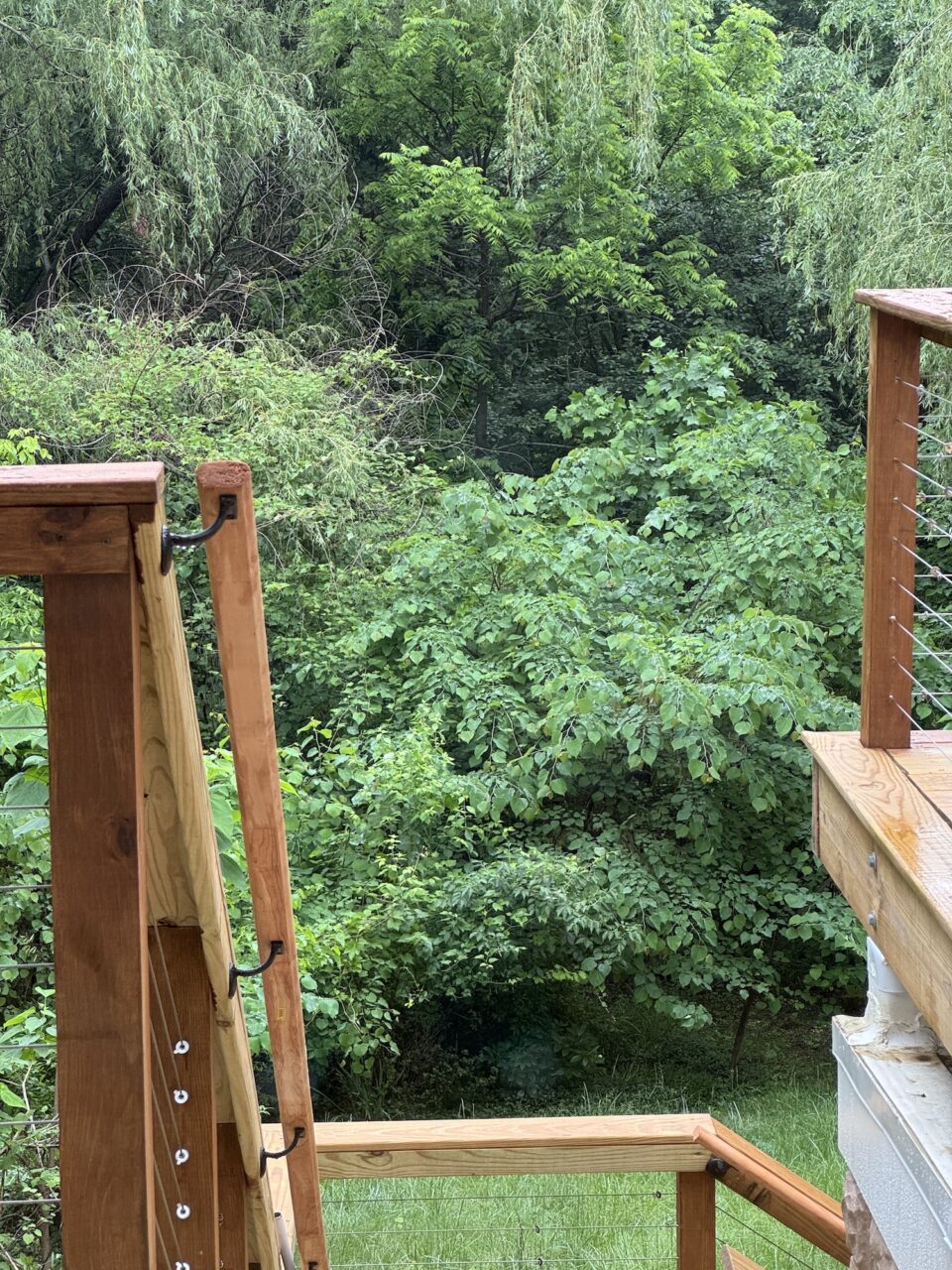 Backyard View Deck Rail Wood Deck