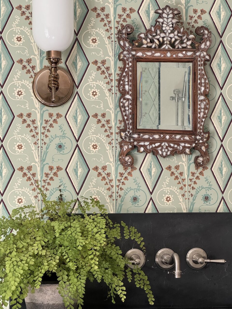 Bathroom Interior Design Green Fern Plant On Black Vanity